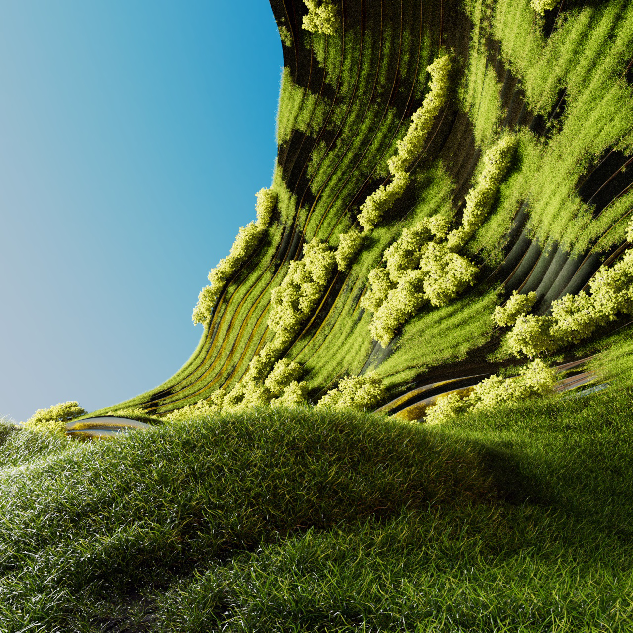 the terroir